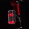 An illuminated Project Flock Biomotion Tail Light is shown in the dark fitted to a bicycle seatpost